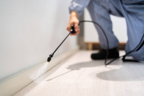 Bed Bug Pre-Treatment Preparation Assessment in Wixom
