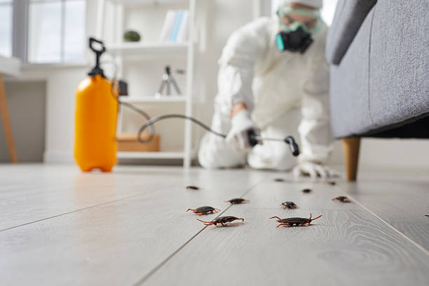 Post-Treatment Bed Bug Interceptor Monitoring in Wixom