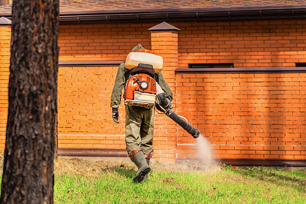 Bed Bug Clearance Verification and Documentation in Wixom